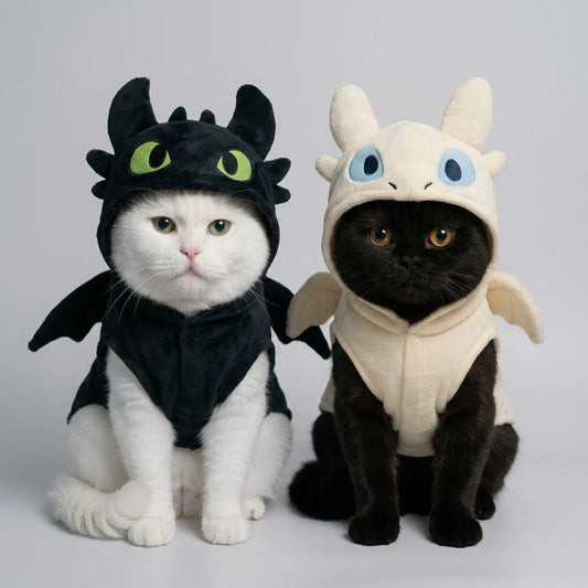 Handmade HTTYD costumes™